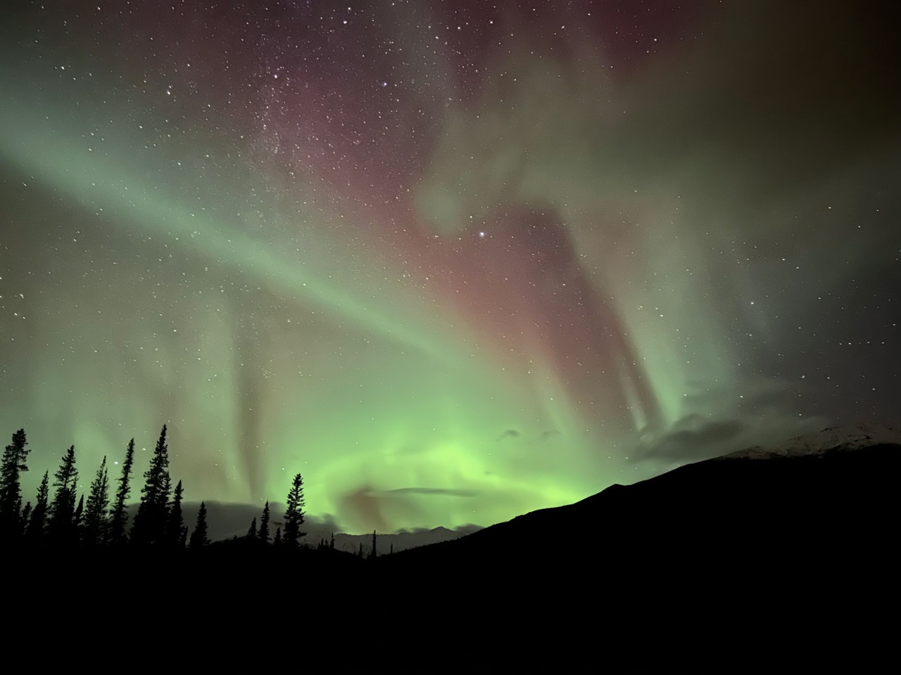 La aurora boreal ilumina el cielo de Alaska y aparece como cintas moradas con luz verde neón.  Las estrellas brillan a través de las cintas violetas como puntos de luz blancos.  El paisaje de Alaska está completamente sombreado en el tercio inferior de la imagen.  La tierra es visible sólo como los contornos de árboles y montañas.